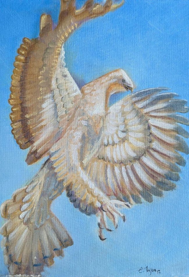 Bird of Prey