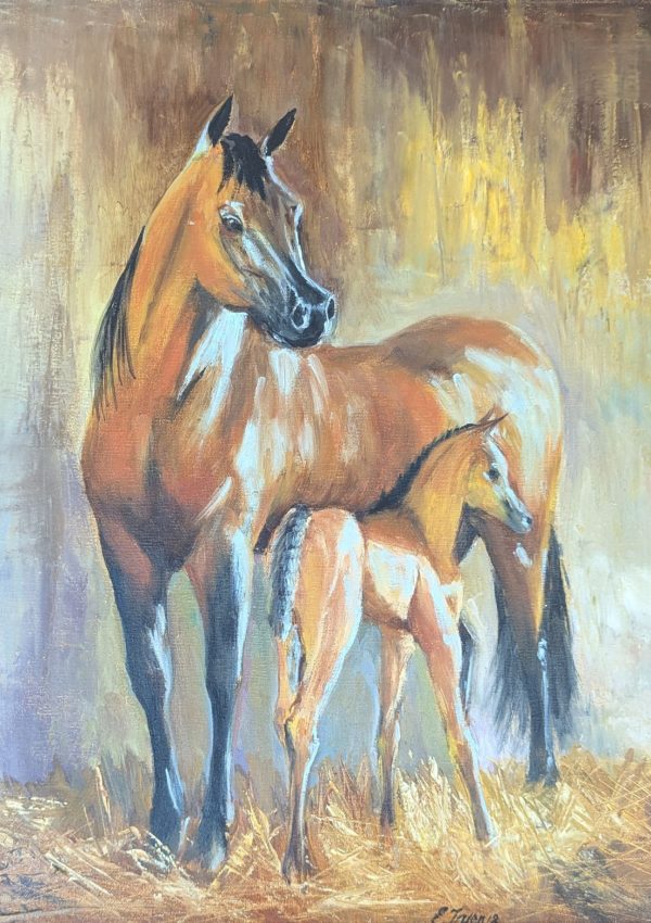 Mare & Colt Mare & Colt