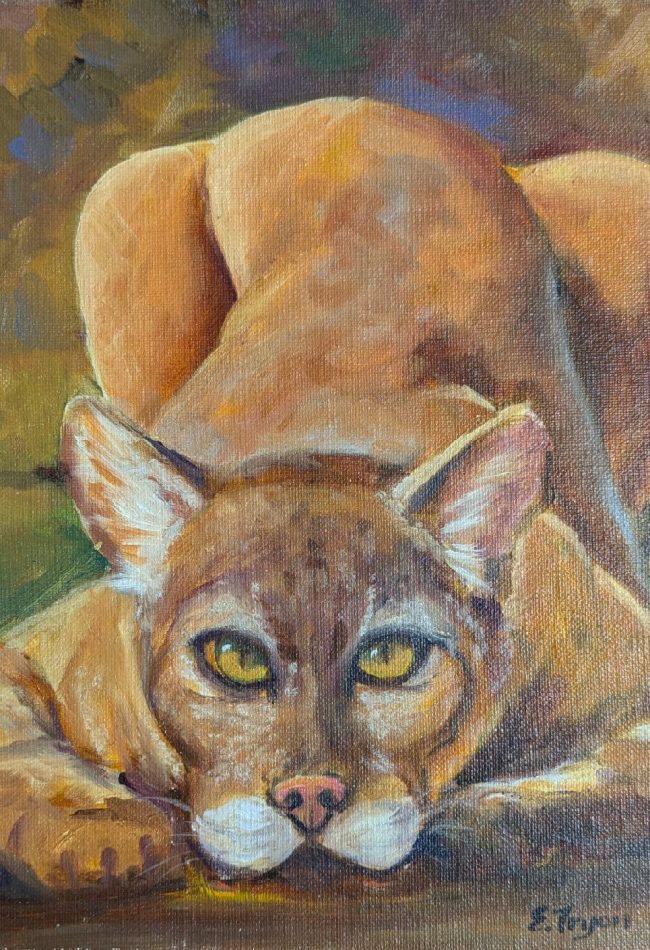 Ready to pounce