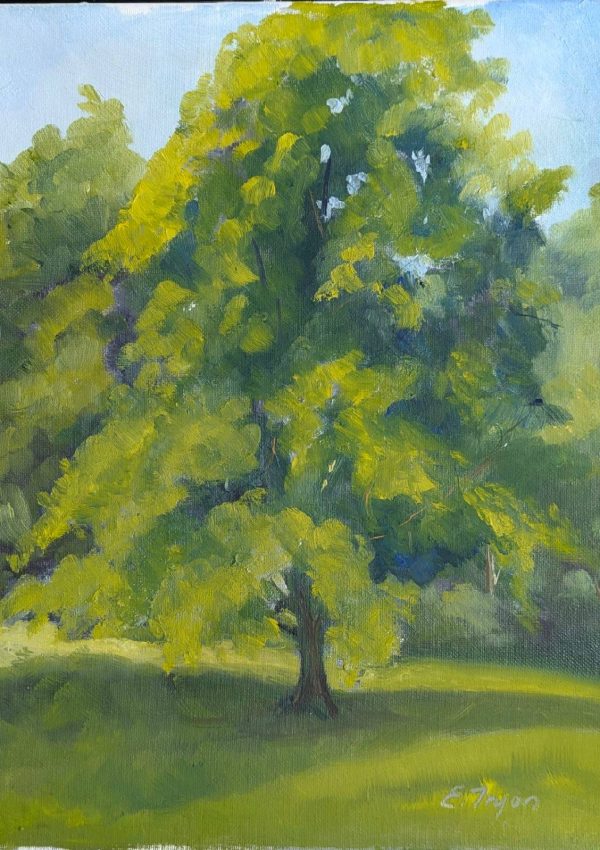 The Maple Tree The Maple Tree